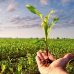 Agronegócio bate recorde de R$ 171,8 bilhões em Valor Bruto da Produção