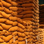 Brasil deve adotar “passaporte verde” no agronegócio até 2026: exigências ambientais vão redefinir exportações