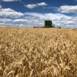 Mercado de fertilizantes segue com ajustes variados e demanda seletiva entre produtores