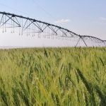 Polícia Militar registra aumento de 82% nas apreensões de drogas em um ano do programa Tolerância Zero