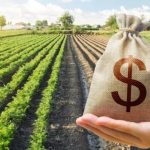 Safra recorde de algodão aposta na irrigação para manter produtividade