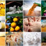 AgRural eleva projeção da safra 2025/26 de soja para 180,4 milhões de toneladas; colheita inicia em regiões pontuais