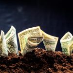 Agro do Paraná deve ultrapassar R$ 200 bilhões em 2025 com safra recorde e expansão da pecuária