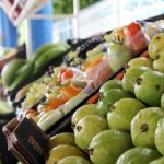 Comércio de frutas e flores na CEAGESP deve crescer 30% neste fim de ano com alta demanda natalina