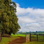 Primavera do Leste celebra conclusão do Programa Muxirum com entrega de certificados a 60 alunos