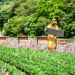 PRF inaugura nova Unidade Operacional em Primavera do Leste e reforça segurança na BR-070