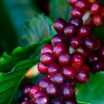 Mercados globais operam com cautela; energia avança e tecnologia recua, enquanto Ibovespa acompanha volatilidade internacional