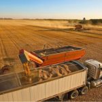 Centro-Sul amplia moagem de cana e acelera produção de etanol