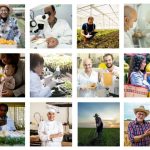 Onda de calor extremo ameaça produtividade de lavouras e rebanhos pelo Brasil afora