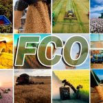 Produção de rações cresce 2% até setembro e Sindirações projeta 90 milhões de toneladas em 2025