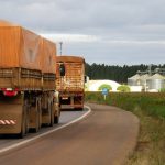 Polícia Civil prende pai e filho que mantinham distribuidora de fachada para comércio de drogas em VG