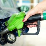 Pesquisadores desenvolvem método inédito para identificar gene que melhora qualidade do leite de búfala