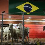 Nininho articula pavimentação de 180 km da MT-325 entre Juara e Alta Floresta; 30 km até Itapaiúna têm projeto pronto na Sinfra