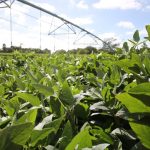 Polícia Civil deflagra operação e recupera 14 aparelhos roubados ou furtados em Várzea Grande