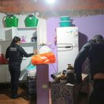 Brasil bate recorde histórico de abate de suínos: 15,81 milhões de cabeças