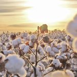 PM prende homem por violência doméstica e apreende armas de fogo em residência