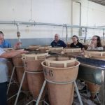 Preço do Algodão Oscila no Mercado Doméstico, mas Exportações Devem Bater Novo Recorde em 2025