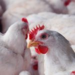 Curta-metragem sobre a magia do Natal será apresentado nesta terça-feira (23) no Teatro Municipal