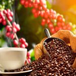 Novas regras do piso mínimo de frete aumentam custos e agravam crise do arroz no RS, alerta Federarroz