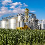 PM aumenta prisões de tráfico de drogas em 29,8% e de foragidos da Justiça em 23% no ano de 2025