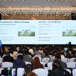 Ciclone extratropical gera alerta vermelho em várias regiões do país