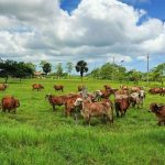 Polícia Civil prende líder religioso que abusou sexualmente de menores de 11 e 12 anos em Várzea Grande