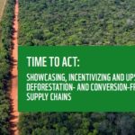 PIB da cadeia da soja e do biodiesel tem nova revisão positiva e cresce mais de 11% em 2025, aponta Cepea/Abiove