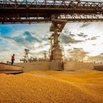 Safra 2025/26: primeiro foco de ferrugem asiática em lavoura comercial é confirmado em Mato Grosso do Sul