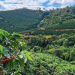 2025 termina entre desafios climáticos, custos elevados e consolidação como potência global