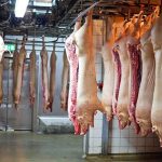 Produtores fazem protesto contra o endividamento rural e exigem providências