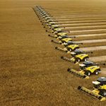 Fertilizantes fecham 2025 em alta, com avanço de 9,3% na distribuição