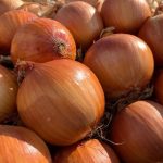 Com menor demanda, preços do feijão caem em novembro, aponta Cepea