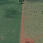 Oferta de carne de frango cai a níveis pré-gripe aviária e preços voltam a subir, aponta Cepea