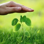 Presente de Natal: leilões ajudam a escoar safra de arroz e a destravar o mercado