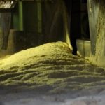 Greve de caminhoneiros tem baixa adesão e não causa bloqueios nas rodovias federais