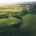 Exportações de carne bovina disparam 50% em novembro e Brasil caminha para recorde histórico em 2025, aponta Abrafrigo