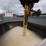 Equilíbrio entre oferta e demanda mantém preços firmes da carne suína no mercado interno