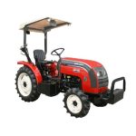 Biotecnologia impulsiona produção de alho no Brasil e amplia rentabilidade do produtor