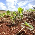 Estado debate estratégias para ganhar espaço no comércio exterior