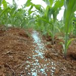 Exportações disparam em novembro e dão novo impulso à balança comercial