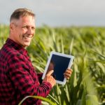 Confinamento se consolida como estratégia essencial para antecipar ganhos no “Jogo da Reposição” de 2026