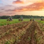 Polícia Militar apreende mais de 1 tonelada de pescado irregular em Rondonópolis