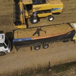 Valorização do dólar e postura firme dos vendedores mantêm preços do algodão estáveis no fim do ano