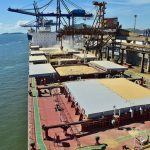 Com dólar valorizado e oferta global elevada, mercado do açúcar enfrenta pressão nas cotações internacionais