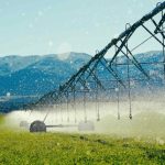 Clima irregular e solo seco exigem atenção redobrada no início da safra 2025/26