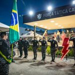 Preços do limão Tahiti iniciam dezembro em alta, aponta Cepea