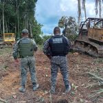 Parceria entre Serasa Experian e Coocacer garante R$ 780 milhões em café sustentável no Cerrado Mineiro