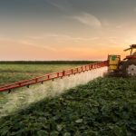 Federarroz celebra sucesso dos leilões da Conab e reforça importância de nova rodada para escoamento do arroz