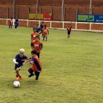 Demanda de fim de ano impulsiona preços da carne suína no atacado, aponta Cepea