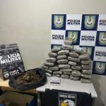 Verão começa neste domingo e promete um cenário confortável para o agronegócio